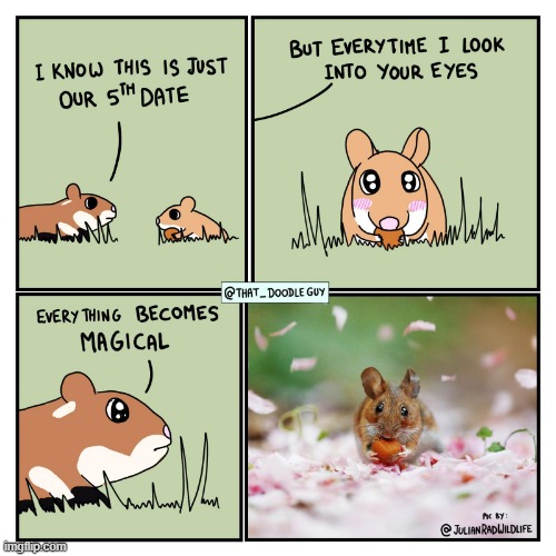 image tagged in wholesome,comics,hamster | made w/ Imgflip meme maker