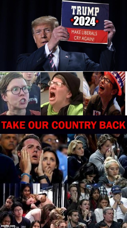 Remove The Radicals, Reelect Our Real President! | image tagged in politics,donald trump,crying liberals,reject radicals,america first,facts not feelings | made w/ Imgflip meme maker