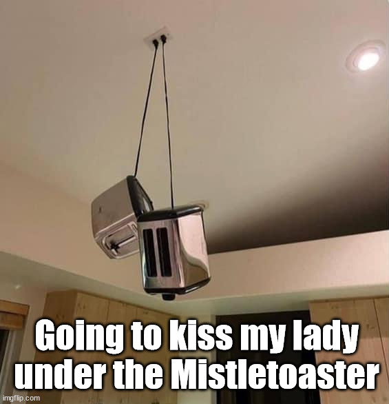 Great use of outlets | Going to kiss my lady under the Mistletoaster | image tagged in mistletoe | made w/ Imgflip meme maker