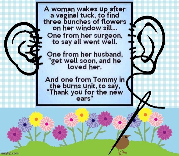 Tuck ! | image tagged in ears | made w/ Imgflip meme maker