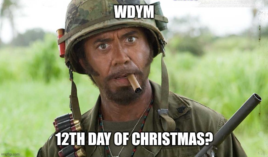 What do you mean? | WDYM 12TH DAY OF CHRISTMAS? | image tagged in what do you mean | made w/ Imgflip meme maker