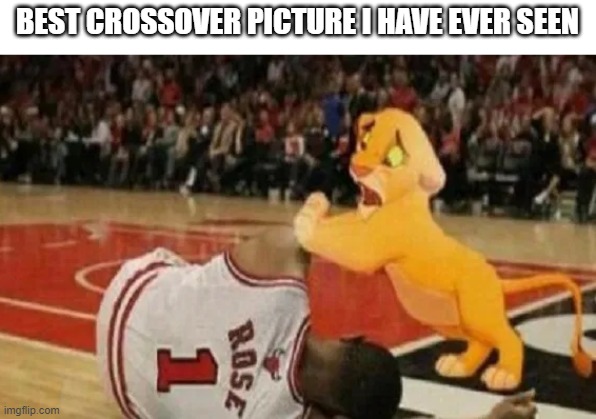 BEST CROSSOVER PICTURE I HAVE EVER SEEN | image tagged in sports | made w/ Imgflip meme maker