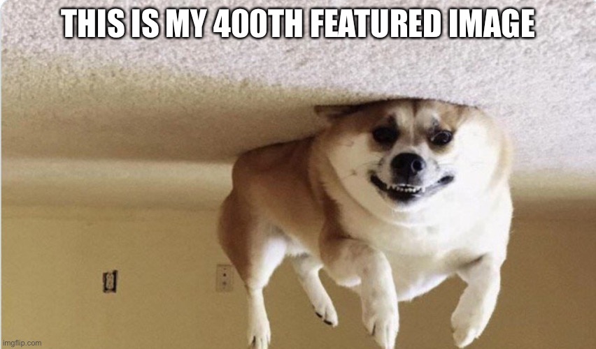 Hover dog | THIS IS MY 400TH FEATURED IMAGE | image tagged in hover dog | made w/ Imgflip meme maker