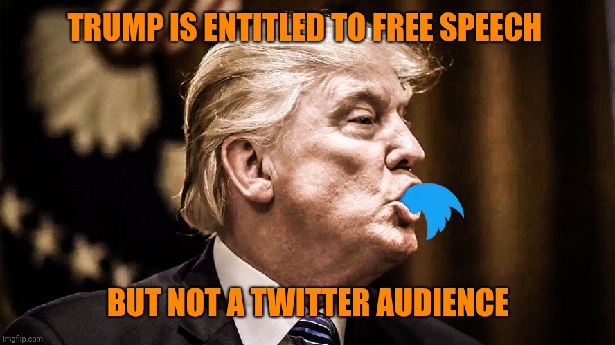 Go bake a gay cake | TRUMP IS ENTITLED TO FREE SPEECH; BUT NOT A TWITTER AUDIENCE | image tagged in trump twitter | made w/ Imgflip meme maker