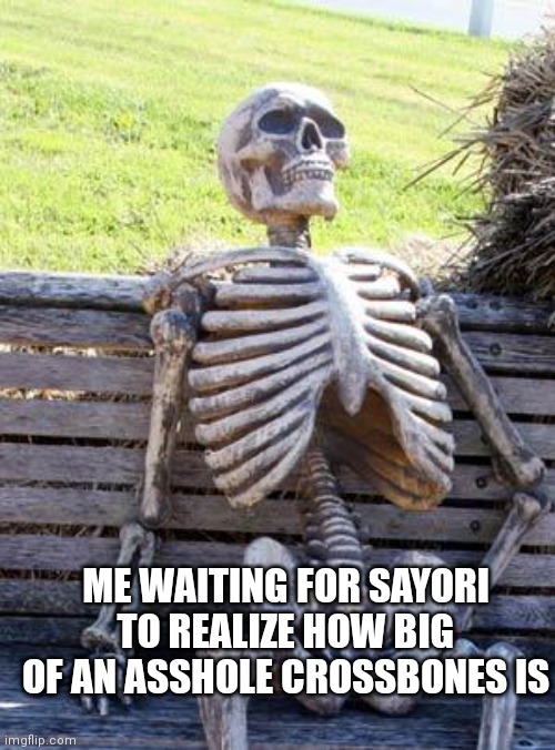 Like that is ever going to happen | ME WAITING FOR SAYORI TO REALIZE HOW BIG OF AN ASSHOLE CROSSBONES IS | image tagged in memes,waiting skeleton | made w/ Imgflip meme maker