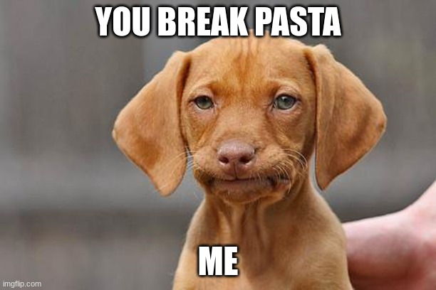 Dissapointed puppy | YOU BREAK PASTA; ME | image tagged in dissapointed puppy | made w/ Imgflip meme maker