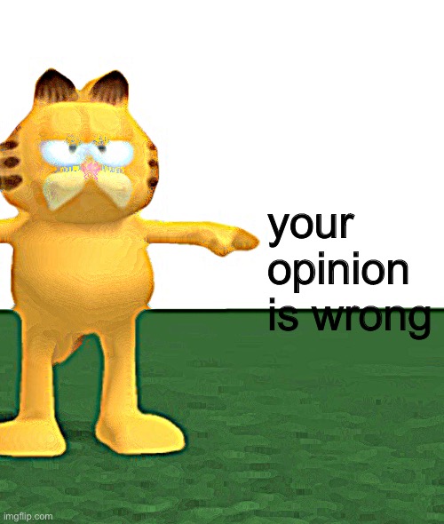 your opinion is wrong (Garfield) | your 
opinion 
is wrong | image tagged in your opinion is wrong garfield | made w/ Imgflip meme maker