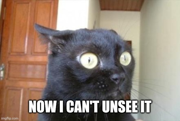 Cannot Be Unseen Cat | NOW I CAN'T UNSEE IT | image tagged in cannot be unseen cat | made w/ Imgflip meme maker