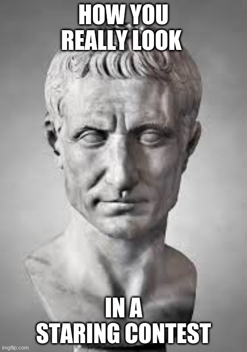 julius caesar | HOW YOU REALLY LOOK; IN A STARING CONTEST | image tagged in julius caesar | made w/ Imgflip meme maker