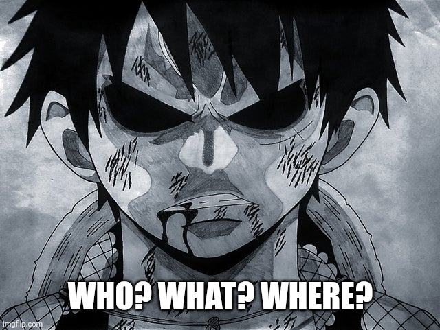Luffy menacing | WHO? WHAT? WHERE? | image tagged in luffy menacing | made w/ Imgflip meme maker