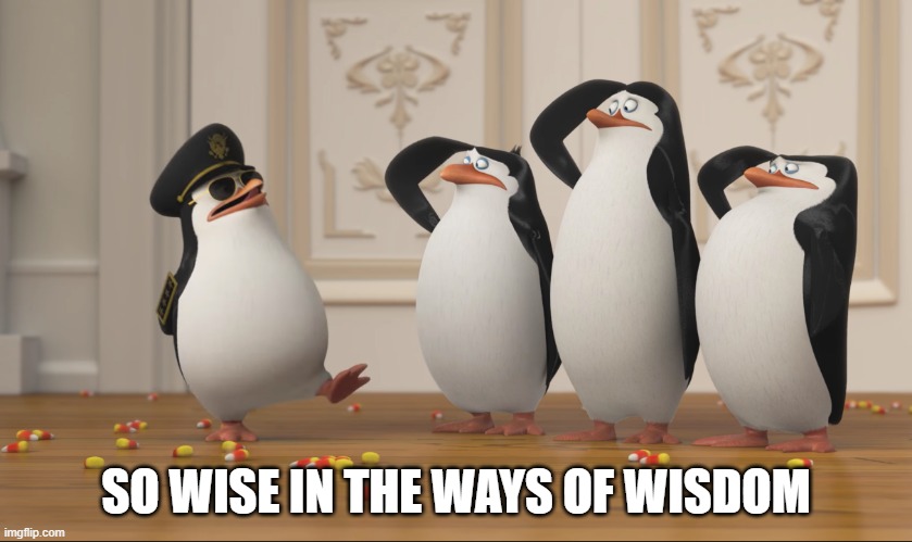 Saluting skipper | SO WISE IN THE WAYS OF WISDOM | image tagged in saluting skipper | made w/ Imgflip meme maker