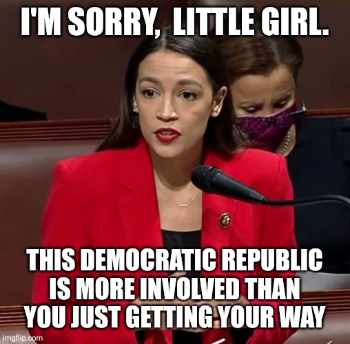 Just when I think she's said the dumbest thing ever,  she opes her mouth again | I'M SORRY,  LITTLE GIRL. THIS DEMOCRATIC REPUBLIC IS MORE INVOLVED THAN YOU JUST GETTING YOUR WAY | image tagged in politics | made w/ Imgflip meme maker