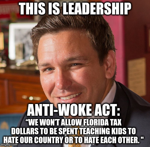 It's time to stop all the hate and racism being taught in our schools. | THIS IS LEADERSHIP; ANTI-WOKE ACT:; “WE WON’T ALLOW FLORIDA TAX DOLLARS TO BE SPENT TEACHING KIDS TO HATE OUR COUNTRY OR TO HATE EACH OTHER. " | image tagged in ron de santis sexiest man alive,critical race theory,supporting minorities | made w/ Imgflip meme maker