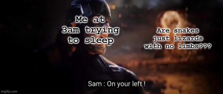 so true lol | Are snakes just lizards with no limbs??? Me at 3am trying to sleep | image tagged in endgame on your left | made w/ Imgflip meme maker