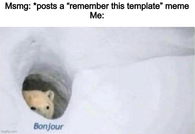Bonjour Bear | Msmg: *posts a “remember this template” meme
Me: | image tagged in bonjour bear | made w/ Imgflip meme maker