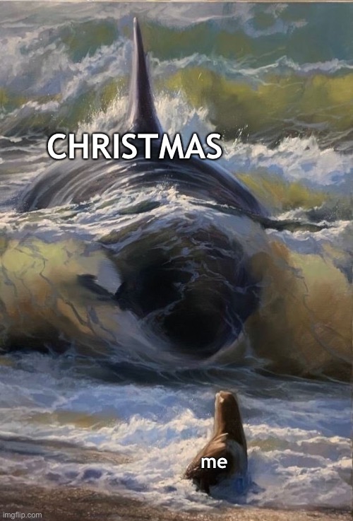 This Saturday?! | CHRISTMAS; me | image tagged in janeymackmeme,orca,christmas,funny,seal | made w/ Imgflip meme maker