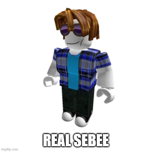 REAL SEBEE | made w/ Imgflip meme maker