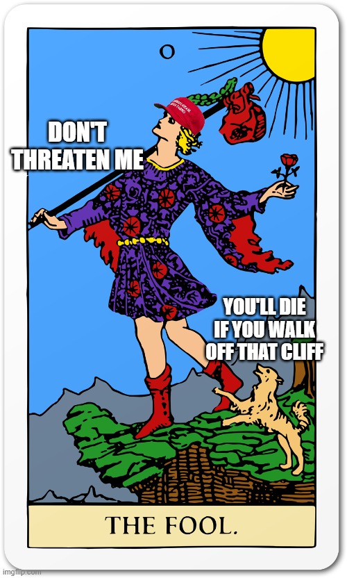 The Fool | DON'T THREATEN ME; YOU'LL DIE IF YOU WALK OFF THAT CLIFF | image tagged in the fool | made w/ Imgflip meme maker