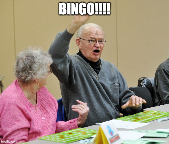 Bingo | BINGO!!!! | image tagged in bingo | made w/ Imgflip meme maker