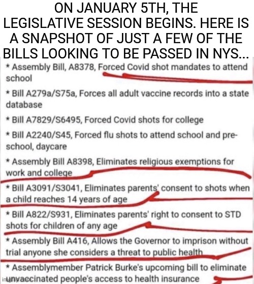 Just a Few of the Bills Looking to be Passed in NYS... | ON JANUARY 5TH, THE LEGISLATIVE SESSION BEGINS. HERE IS A SNAPSHOT OF JUST A FEW OF THE BILLS LOOKING TO BE PASSED IN NYS... | image tagged in covid vaccine,laws,new york | made w/ Imgflip meme maker