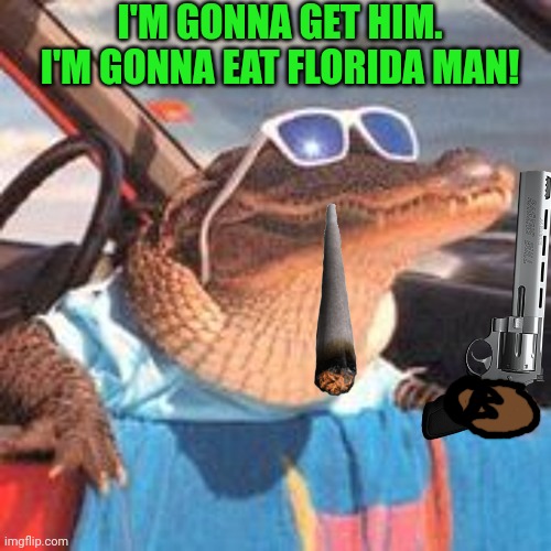 Florida Gator. | I'M GONNA GET HIM. I'M GONNA EAT FLORIDA MAN! | image tagged in cool gator,gators,need meat too,votes out for monkee | made w/ Imgflip meme maker