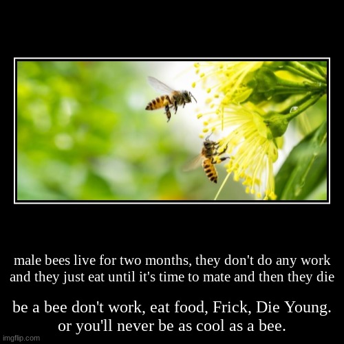 bees are dope af | image tagged in funny,demotivationals,bees,bee | made w/ Imgflip demotivational maker