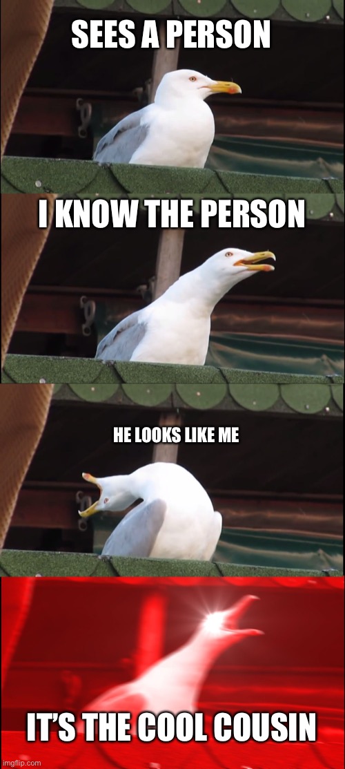 Inhaling Seagull Meme | SEES A PERSON; I KNOW THE PERSON; HE LOOKS LIKE ME; IT’S THE COOL COUSIN | image tagged in memes,inhaling seagull | made w/ Imgflip meme maker