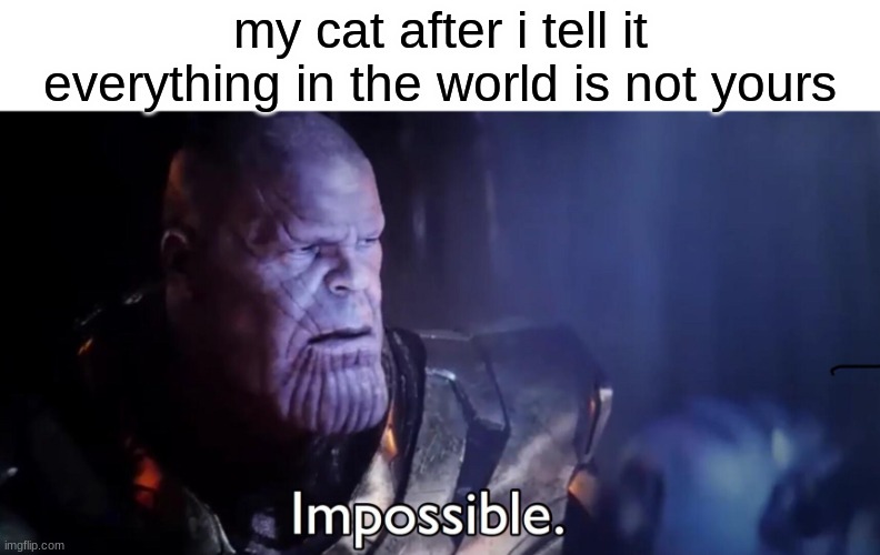 cats: the most lovable pest in the world | my cat after i tell it everything in the world is not yours | image tagged in thanos impossible,cats | made w/ Imgflip meme maker