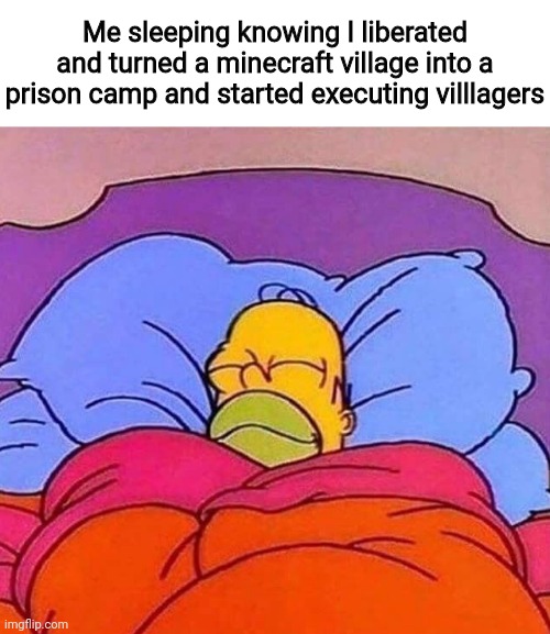 I slept like a baby | Me sleeping knowing I liberated and turned a minecraft village into a prison camp and started executing villlagers | image tagged in homer simpson sleeping peacefully | made w/ Imgflip meme maker