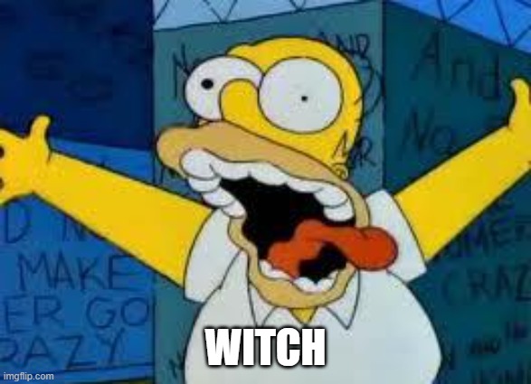 Homer Going Crazy | WITCH | image tagged in homer going crazy | made w/ Imgflip meme maker