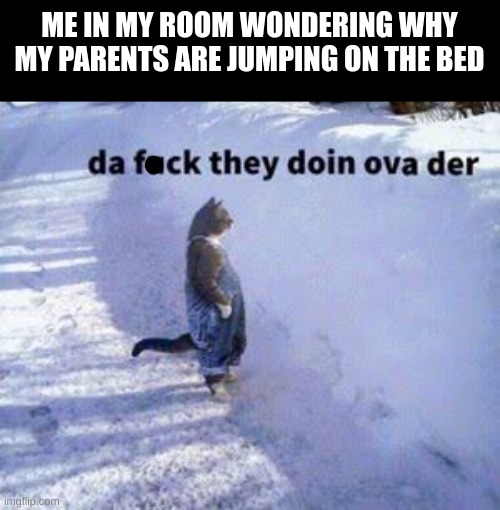 Cat standing in the snow | ME IN MY ROOM WONDERING WHY MY PARENTS ARE JUMPING ON THE BED | image tagged in cat standing in the snow | made w/ Imgflip meme maker