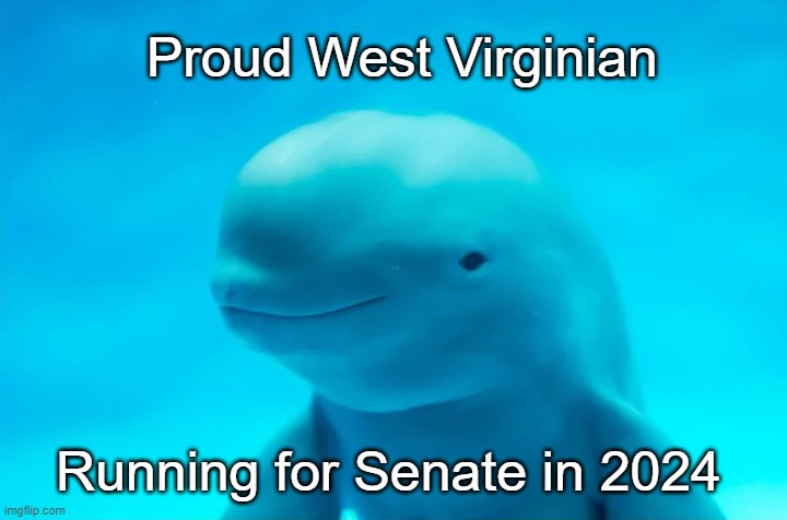 Proud West Virginian; Running for Senate in 2024 | made w/ Imgflip meme maker