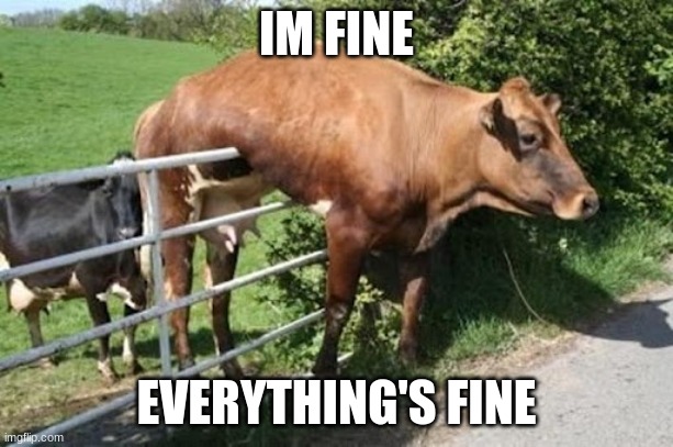 Im fine | IM FINE; EVERYTHING'S FINE | image tagged in memes | made w/ Imgflip meme maker