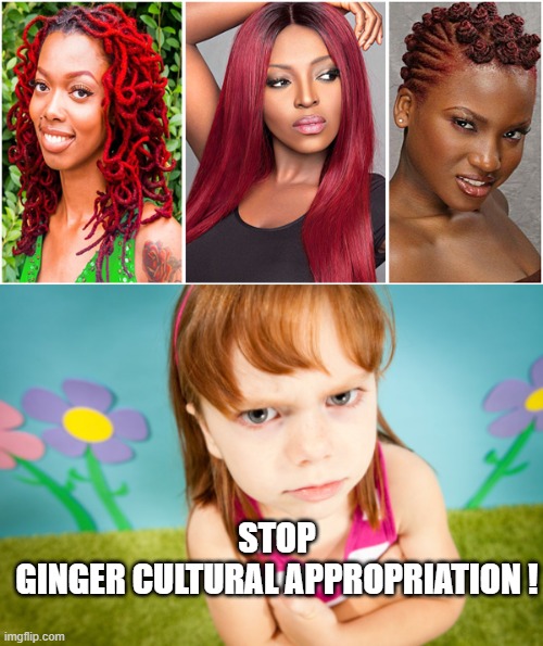 Cultural Appropriation | STOP
GINGER CULTURAL APPROPRIATION ! | image tagged in ginger,cultural appropriation | made w/ Imgflip meme maker