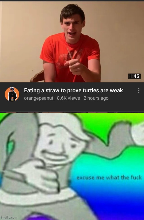 Excuse me….what | image tagged in excuse me wtf,turtles,plastic straws,wtf,do you are have stupid,why are you reading this | made w/ Imgflip meme maker