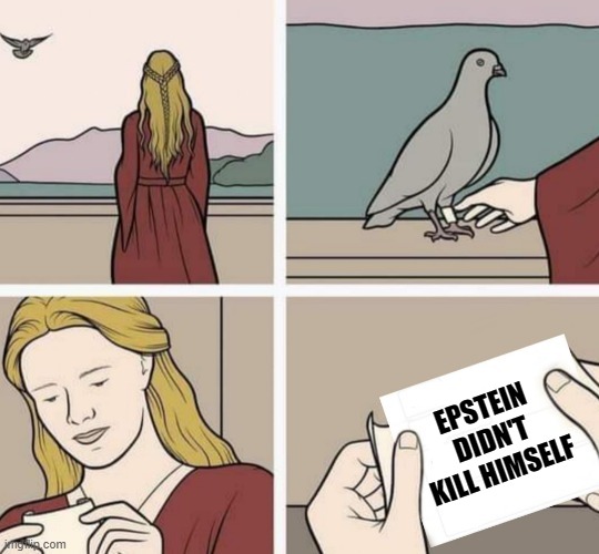 Homing pigeon reminder |  EPSTEIN DIDN'T KILL HIMSELF | image tagged in memes,homing pigeon,jeffrey epstein,epstein didn't kill himself,reminder,epstein | made w/ Imgflip meme maker