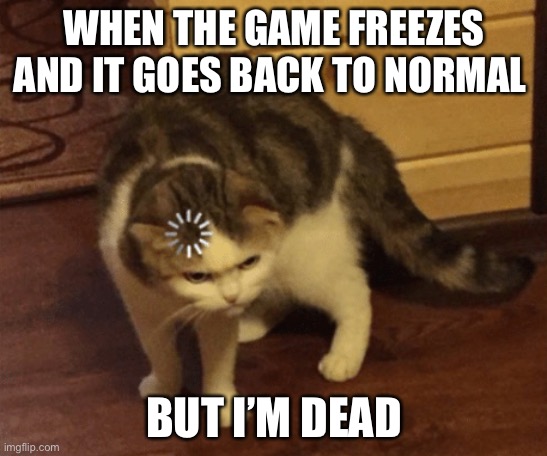 Happened and still does | WHEN THE GAME FREEZES AND IT GOES BACK TO NORMAL; BUT I’M DEAD | image tagged in lag cat | made w/ Imgflip meme maker