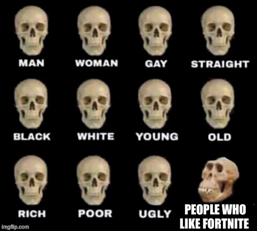Honestly | PEOPLE WHO LIKE FORTNITE | image tagged in idiot skull | made w/ Imgflip meme maker