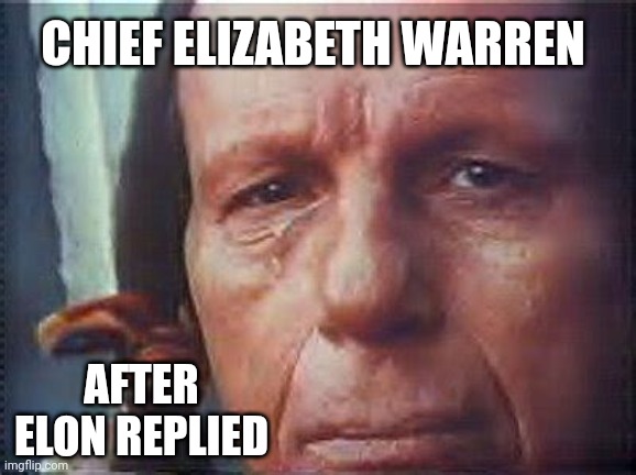 Merry Christmas To Leftist And Sane People Also | CHIEF ELIZABETH WARREN; AFTER ELON REPLIED | image tagged in elizabeth warren,fake native american,freeloader | made w/ Imgflip meme maker