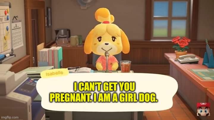 Isabelle Animal Crossing Announcement | I CAN'T GET YOU PREGNANT. I AM A GIRL DOG. | image tagged in isabelle animal crossing announcement | made w/ Imgflip meme maker