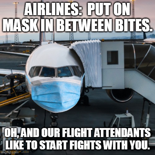 Plane mask | AIRLINES:  PUT ON MASK IN BETWEEN BITES. OH, AND OUR FLIGHT ATTENDANTS LIKE TO START FIGHTS WITH YOU. | image tagged in mask on plane,masks,covid,mandate | made w/ Imgflip meme maker