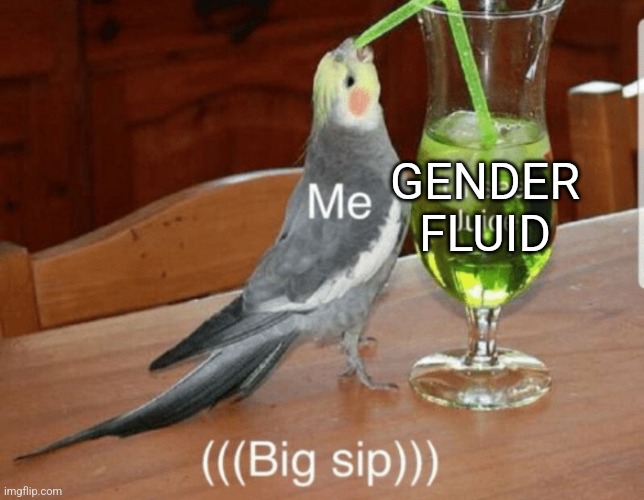 (Mod note: d e l i c i o u s) | GENDER FLUID | image tagged in unsee juice | made w/ Imgflip meme maker