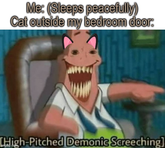 High-Pitched Demonic Screeching | Me: (Sleeps peacefully)
Cat outside my bedroom door: | image tagged in high-pitched demonic screeching,funny,memes,funny memes,relatable,cats | made w/ Imgflip meme maker