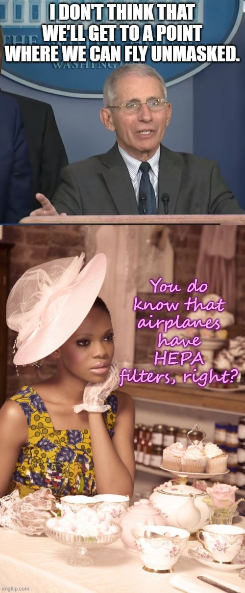 "Represents Science," indeed. | I DON'T THINK THAT WE'LL GET TO A POINT WHERE WE CAN FLY UNMASKED. You do know that airplanes have HEPA filters, right? | image tagged in dr fauci,black woman having tea | made w/ Imgflip meme maker