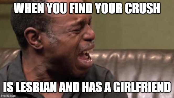 Best Cry Ever | WHEN YOU FIND YOUR CRUSH IS LESBIAN AND HAS A GIRLFRIEND | image tagged in best cry ever | made w/ Imgflip meme maker