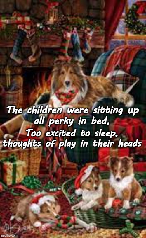 Sheltie Christmas | Too excited to sleep, thoughts of play in their heads; The children were sitting up
all perky in bed, | image tagged in sheltie,christmas,fireplace,puppies,sable | made w/ Imgflip meme maker