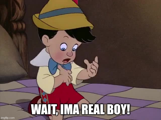 Real Boy | WAIT, IMA REAL BOY! | image tagged in real boy | made w/ Imgflip meme maker