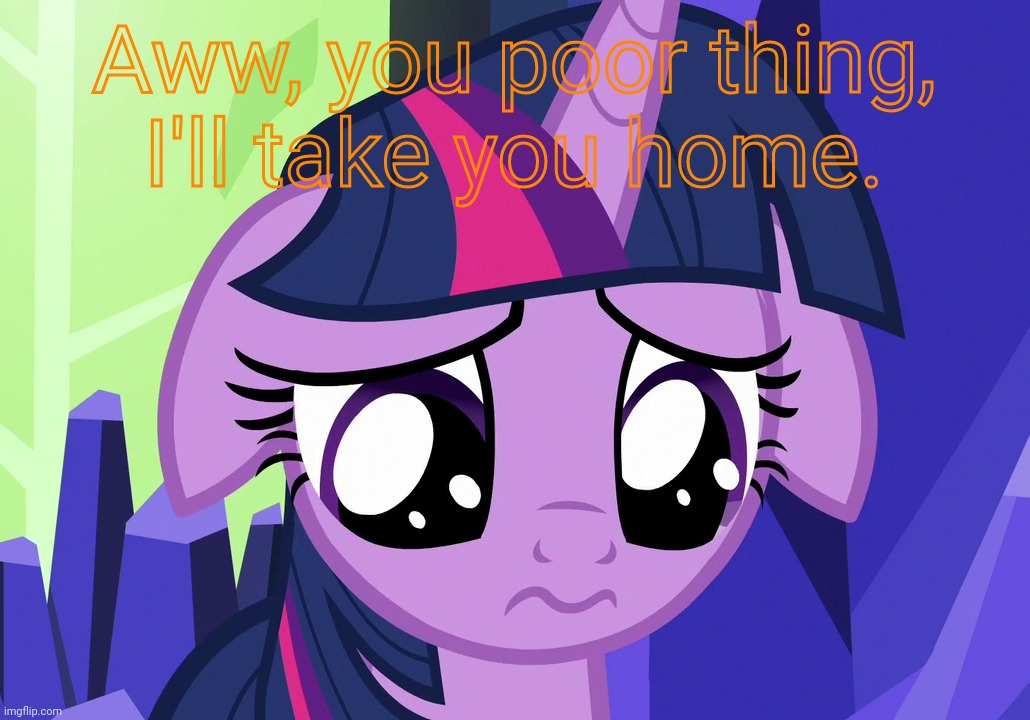 Sad Twilight (MLP) | Aww, you poor thing, I'll take you home. | image tagged in sad twilight mlp | made w/ Imgflip meme maker