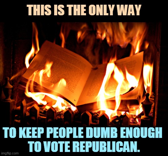 THIS IS THE ONLY WAY; TO KEEP PEOPLE DUMB ENOUGH 
TO VOTE REPUBLICAN. | image tagged in book,burning,right wing,disease | made w/ Imgflip meme maker