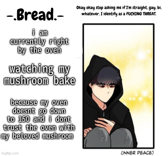 :) | i am currently right by the oven; watching my mushroom bake; because my oven doesnt go down to 150 and i dont trust the oven with my beloved mushroom | image tagged in breads inner peace temp | made w/ Imgflip meme maker